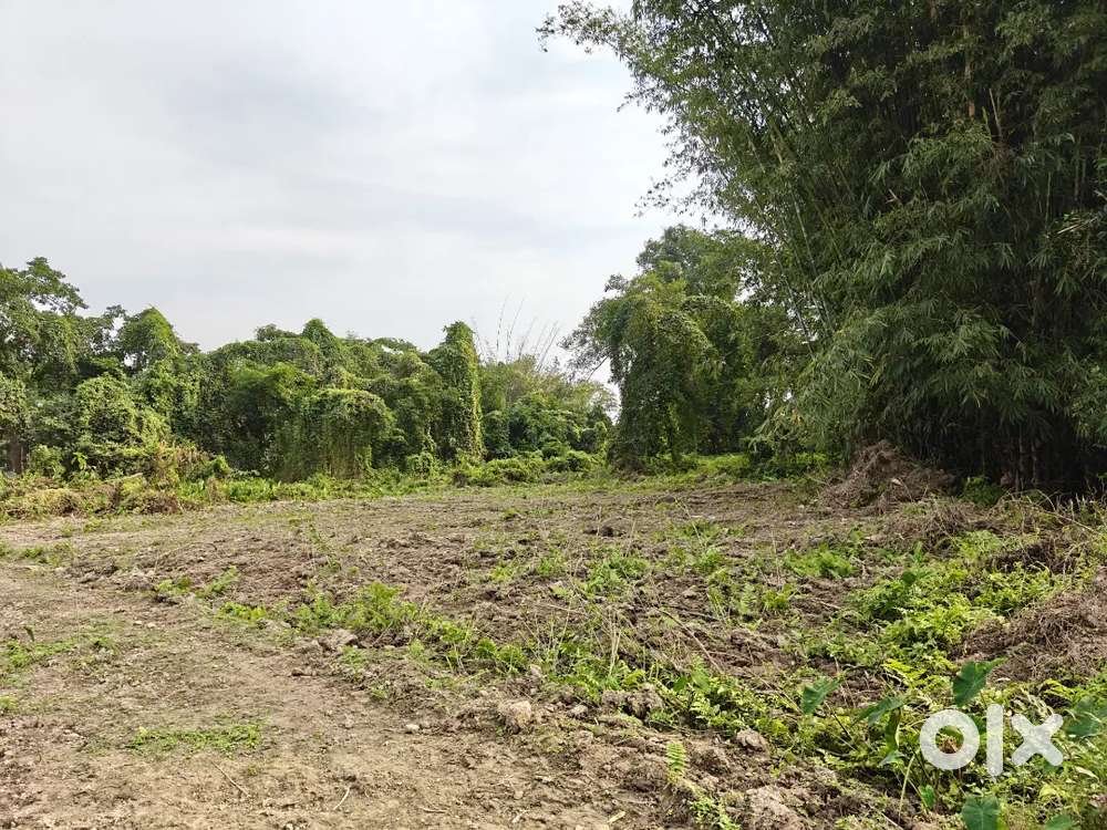 3kotha 5 lesa bari mati