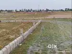 PLOTS NEAR IN BELAPUR JETTY