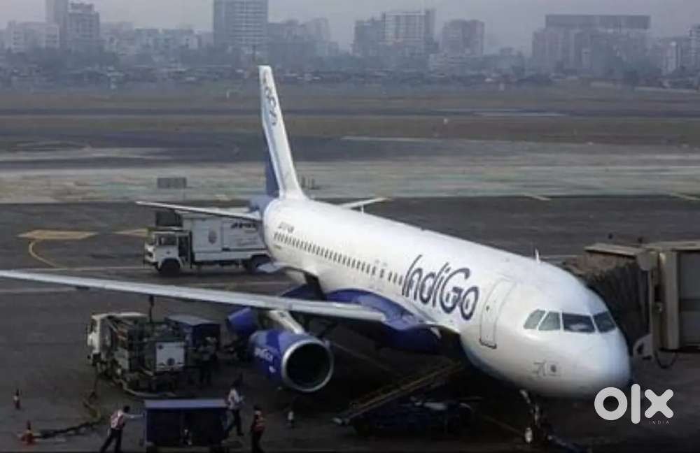 Indigo Airlines Jobs /Vacancy for Airport Ground Staff / Driver / Crew