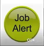 REQUIRED IN HANDWRITING JOB