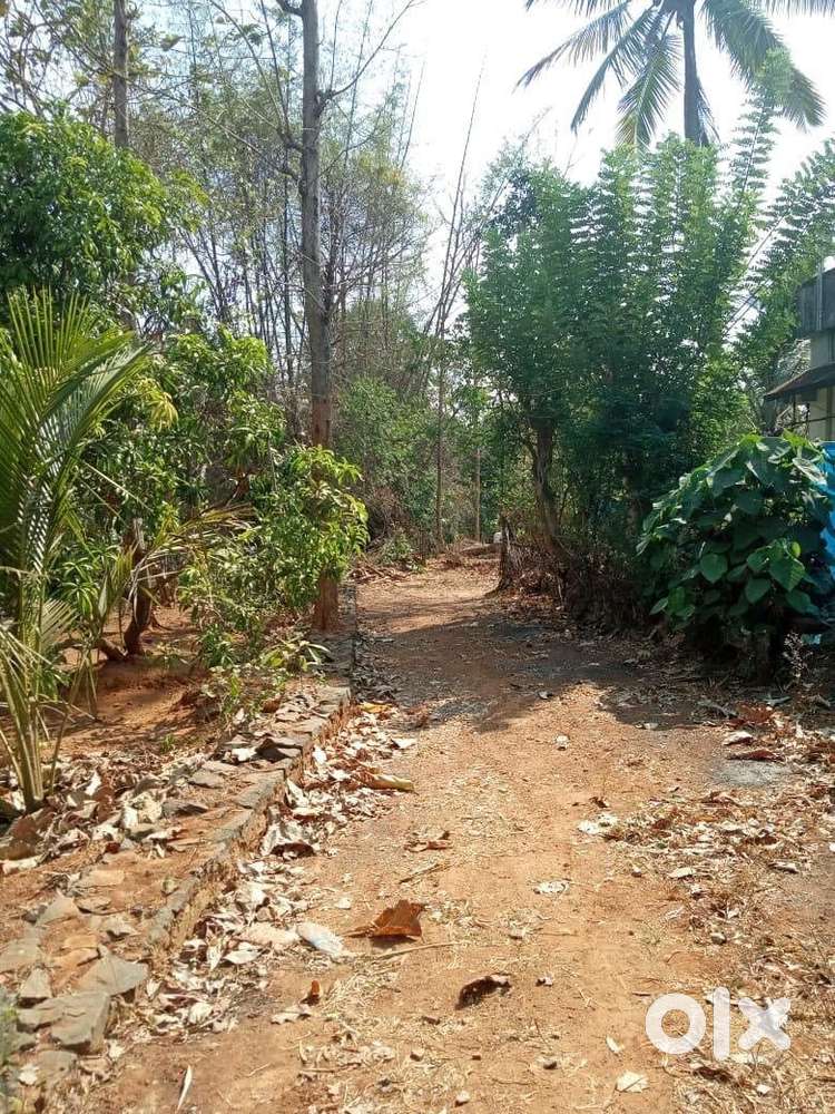 42 cent land for sale in Karukaputtoor