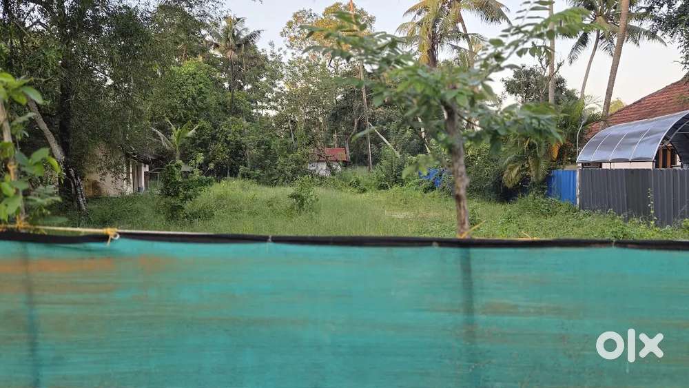 17 cent plot ചേർത്തല SN കോളേജിന് കിഴക്കുവശം