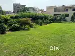 Plot for sale
