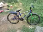 Neelam dazzler