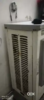 Colaer orginal