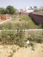181 Gaj Plot Near Bhadarkali Mandir Shyam Colony.
