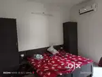 Need roommate law gate auto stand