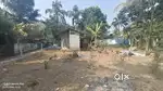 Puthupally near Thuruthel 12.5cent sale