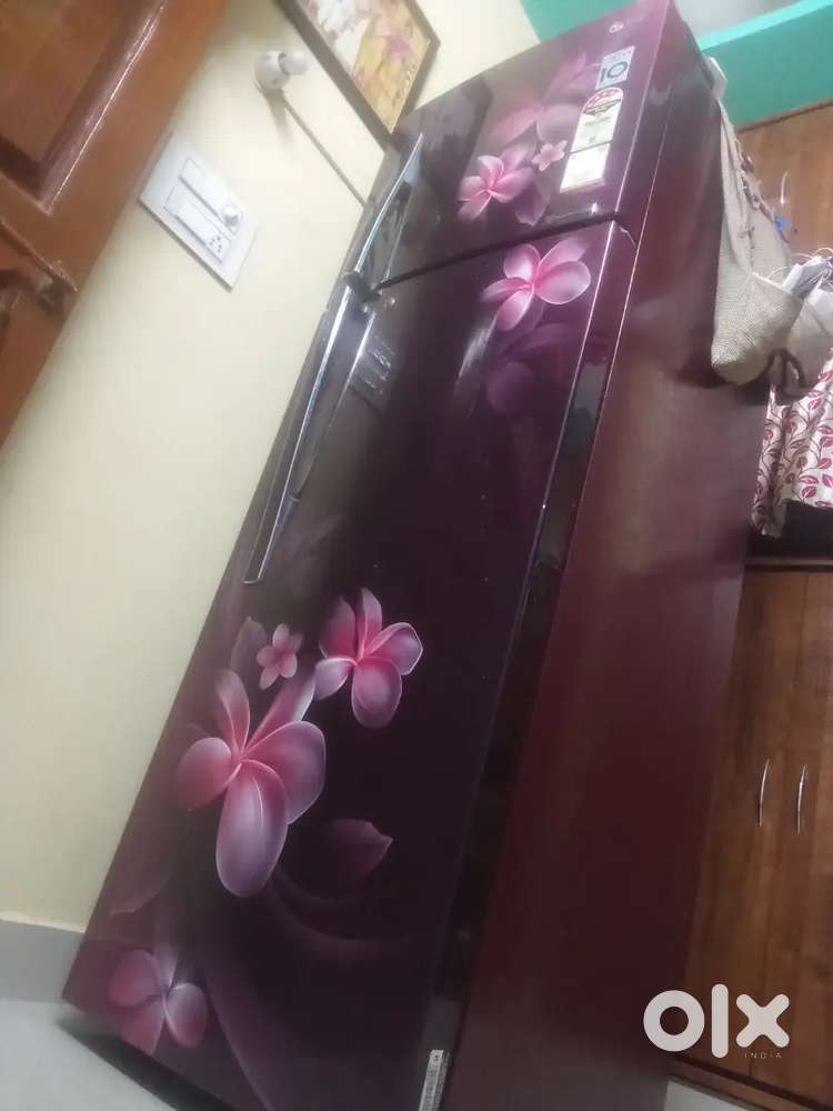 LG double door fridge