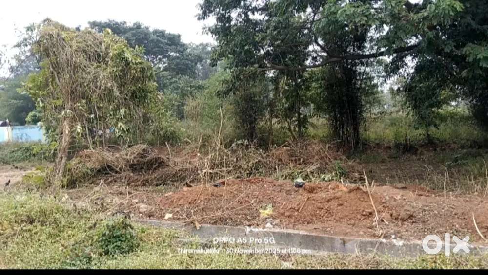 Site selling in Narsipura Mysore Town