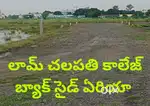 Lam chalapati collage back side area plot sale