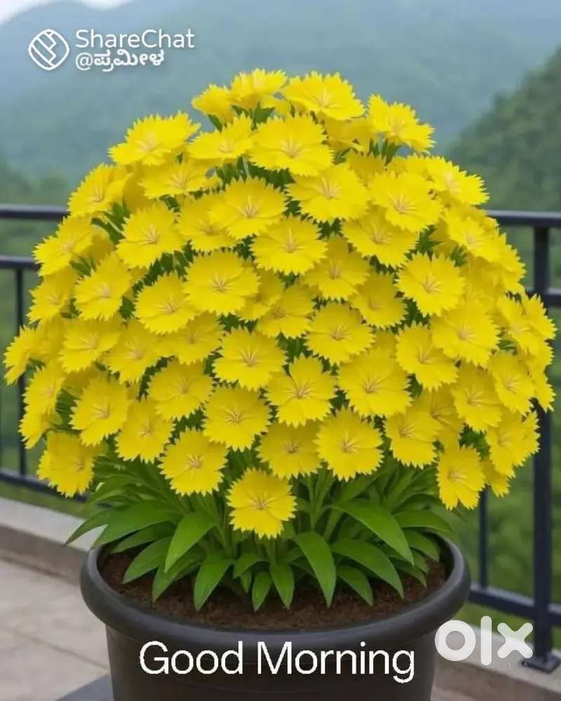 Business man and commission