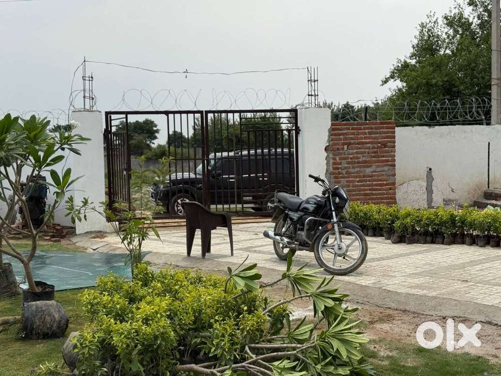 1210 गज का खूबसूरत Farmhouse Plot बिक्री के लिए – Registry & Mutation