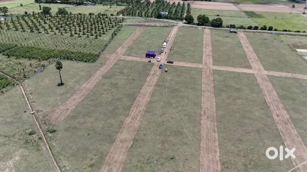 Low budget Dtcp approved sites sale in kinathukadavu