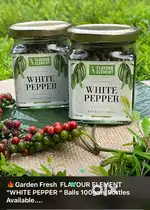 Bottled White Pepper Balls (100gm) Glass Bottles