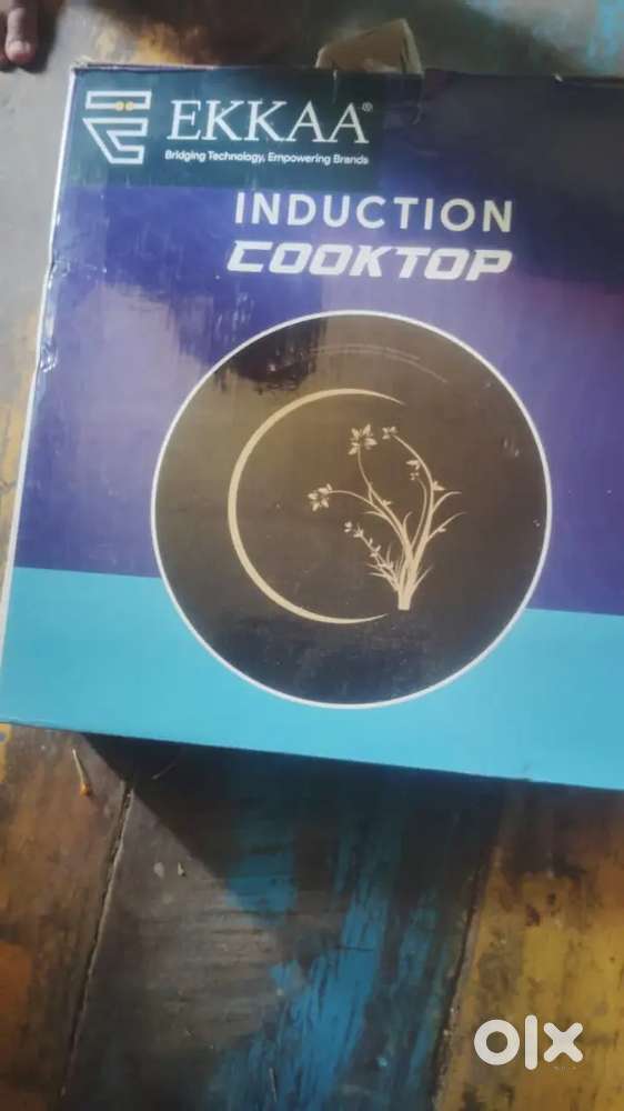 Electronic Induction