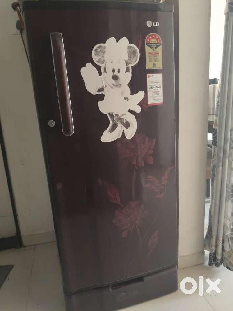 LG Single Door Refrigerator
