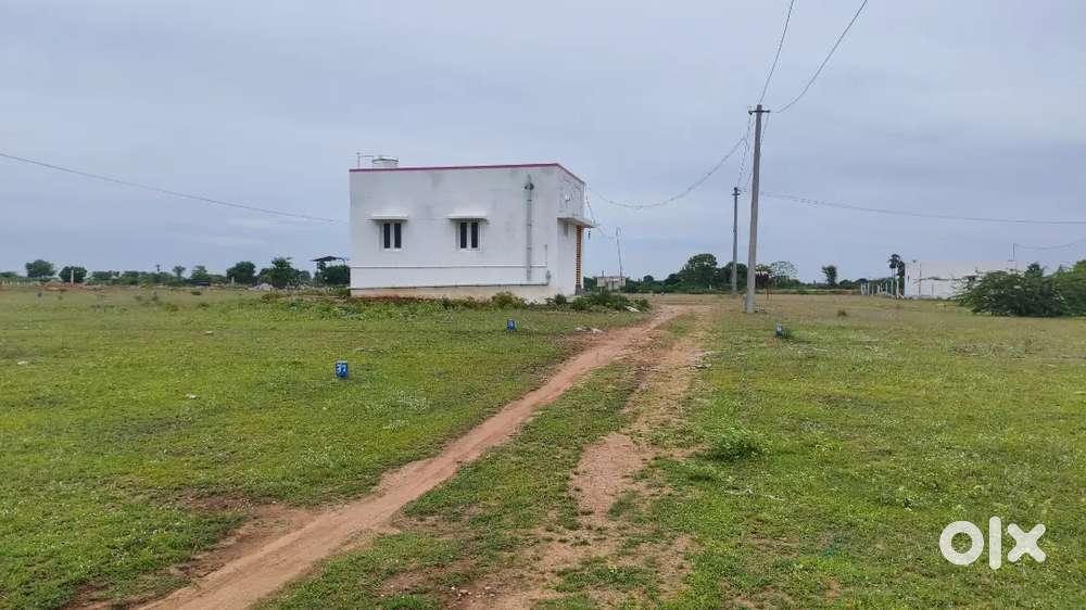 Trichy to Dindigul NH 275 rs land for sale