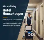 Hotel Housekeeper Job