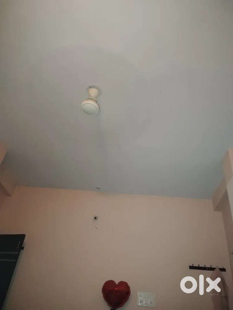 Need female roommates