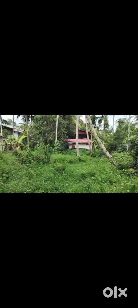 22 cent area 3 meter way to plot 750 meter from KPRoad