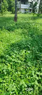 65 cent land for sale
