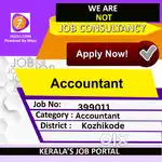 Accountant - [399011]