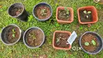 Plot for sale