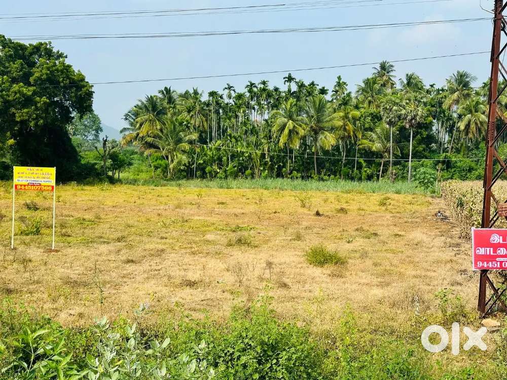 Land available for rent