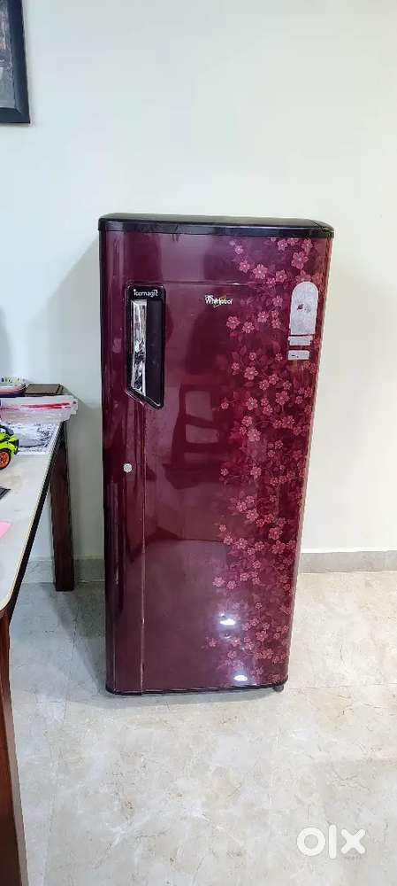 FRIDGE 250 Liter