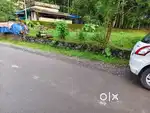 18 CENT ORGINAL LAND FOR SALE IN KAKKANAD NEAR INFOPARK