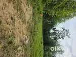 Land for sale, Diezephe Village