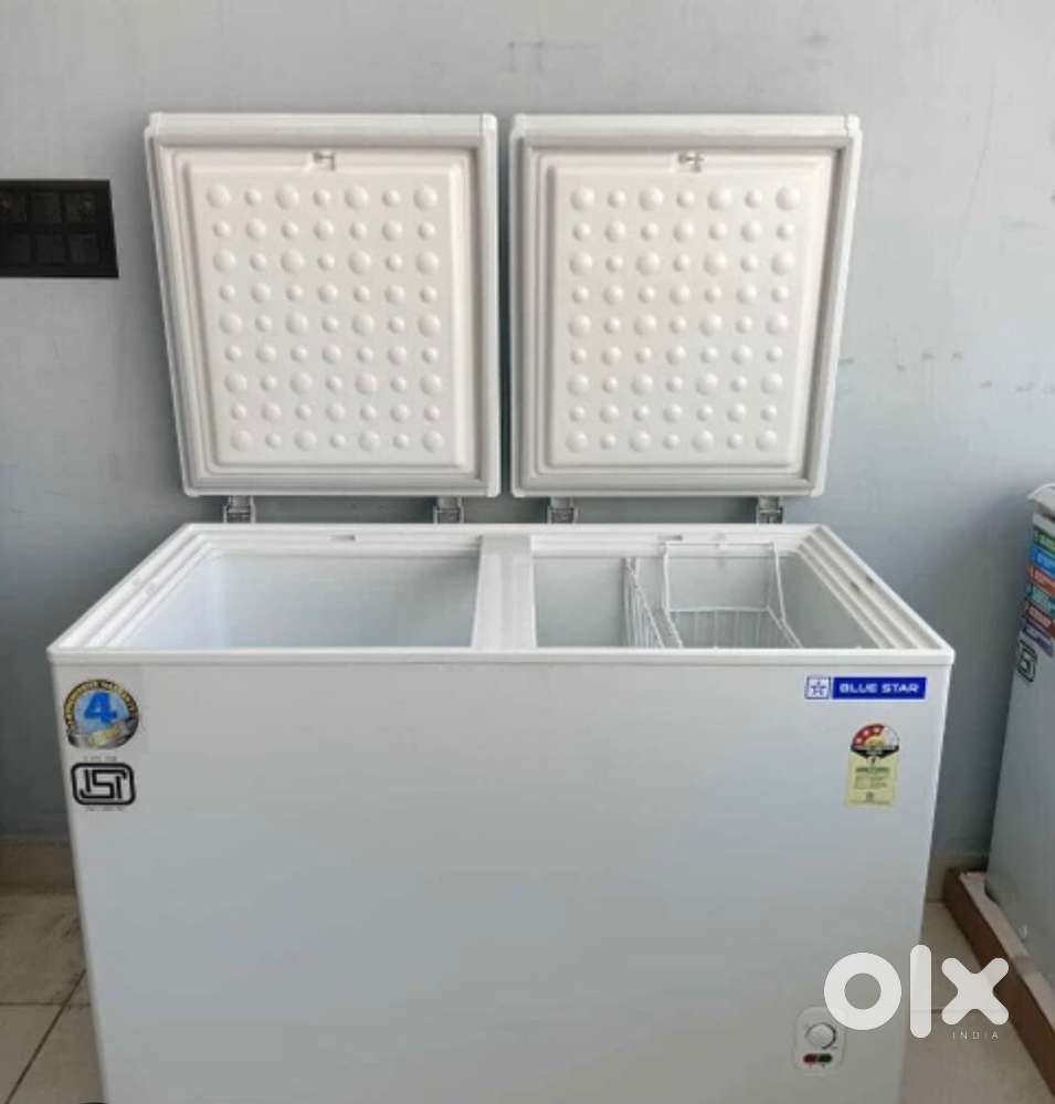 Blue star freezer double door three months older