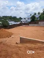 5 cent 6 cent nalanchira MANNANTHALA