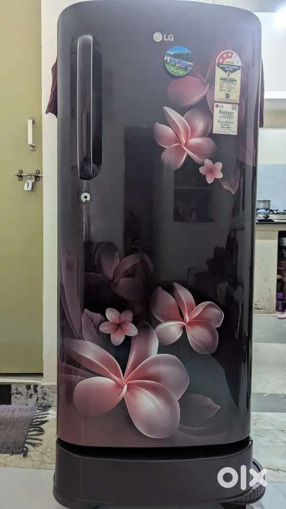 LG Single door Refrigerator  replacing to buy double door refrigerator