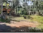 21 cent plot for sale near Muttom, Haripad
