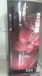 LG fridge new
