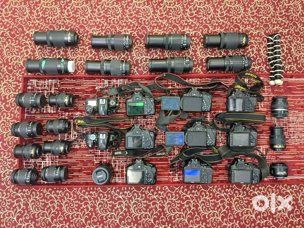 Dslr camera on rent canon and nikon
