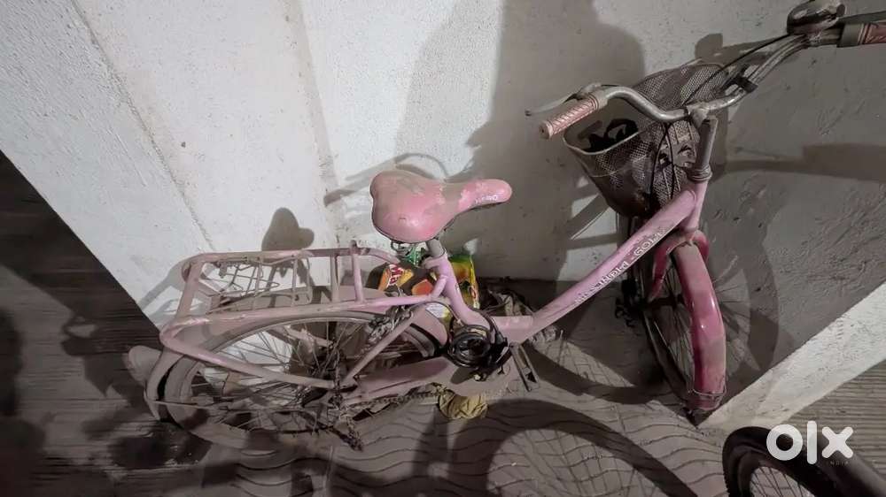 Hero miss India gold cycle