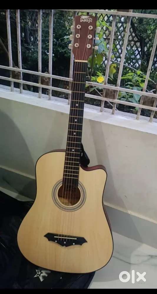 Intern Guitar