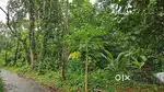 20 cent land for sale in Noornad pandalam