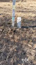 Plot at chimbli 675 sq foot @11.8 lack urgent basis