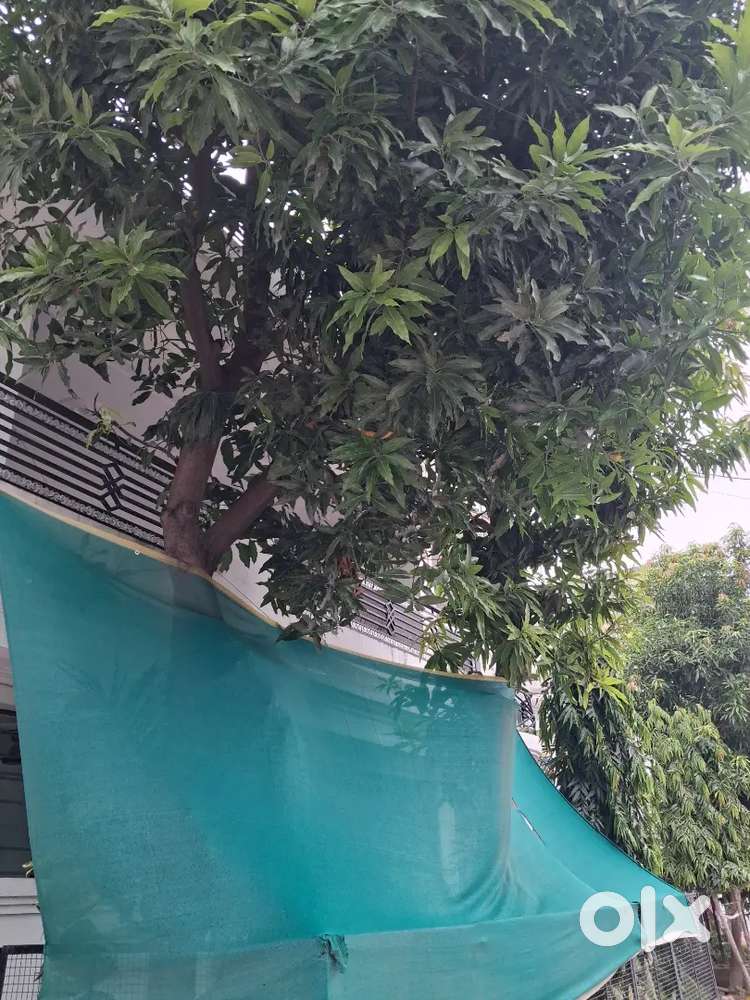 House and villa window balcony car parking24 hore watar fans and villa