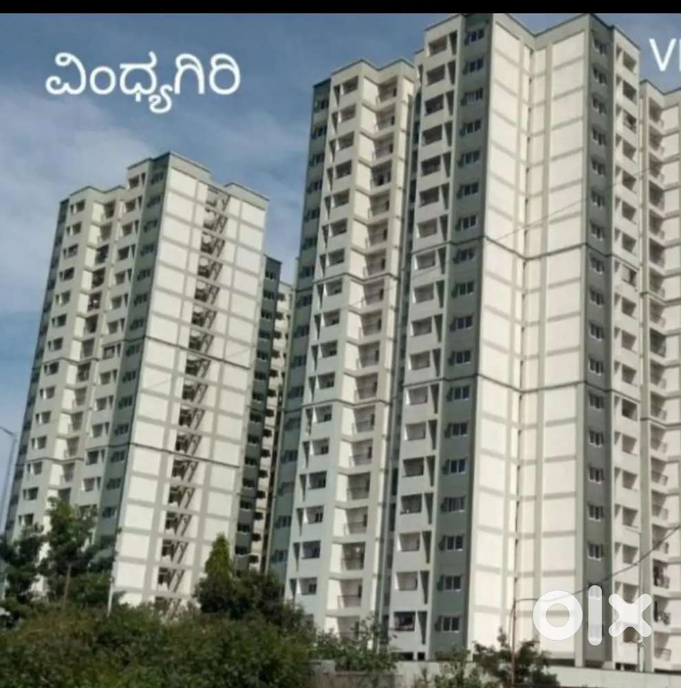 2 BHK for rent in Whitefield