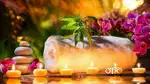 Neem Ayur Care