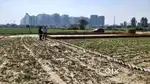 Best Investment ke plot Sector 150 Noida Near FNG Six Line Highway par