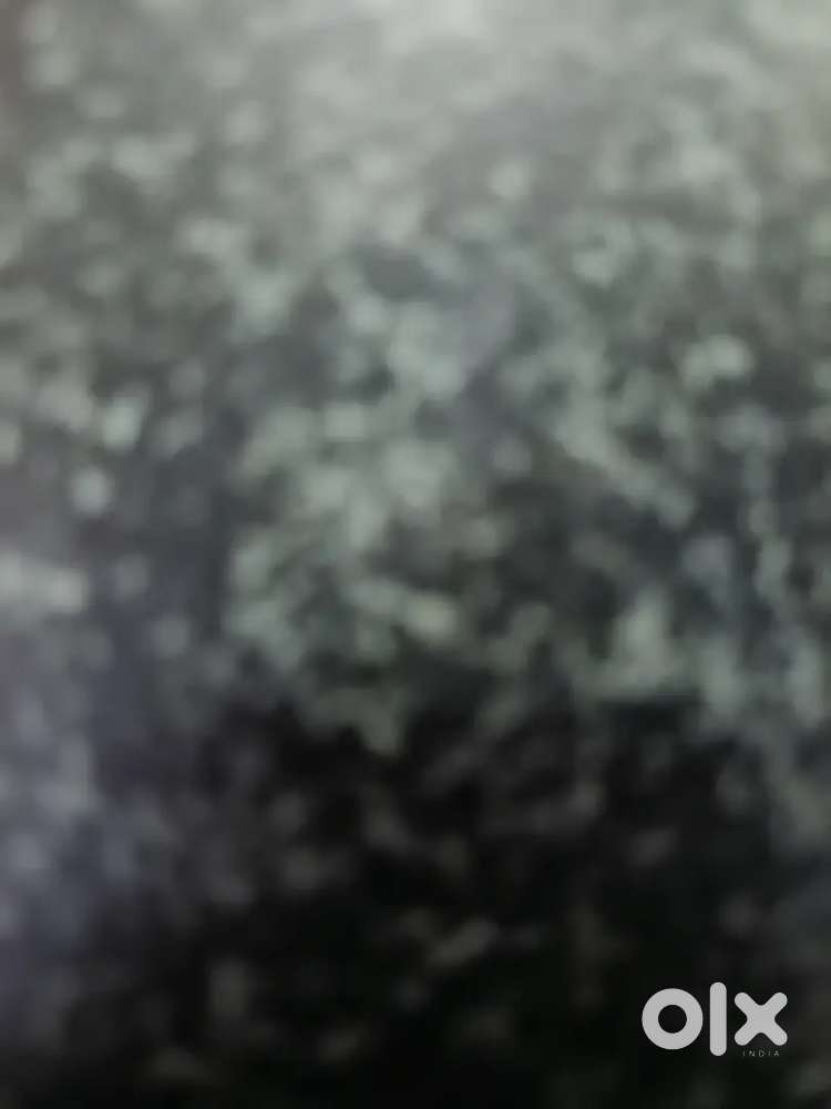 3 bhk independent house for family in jnv colony 1 sector