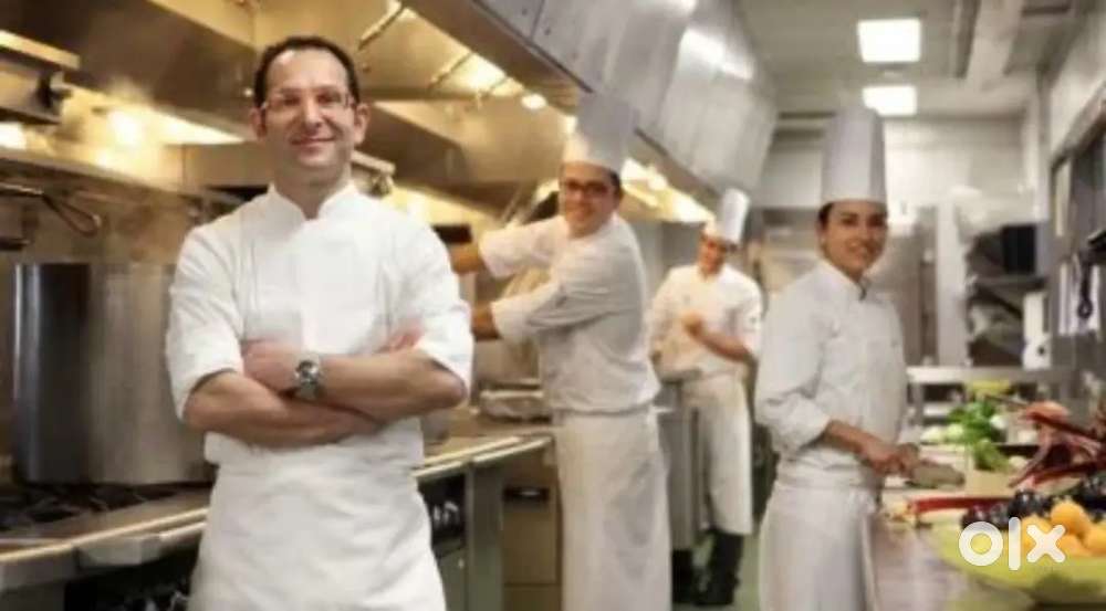 Chef, Cook - Free Food and Accommodation