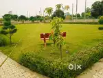 0 Point Dehli Road Moradabad me Fully Developed Gated Society me plots