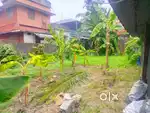 Edappally thoppil church near 13cent land for sale per cent ₹13 lakh